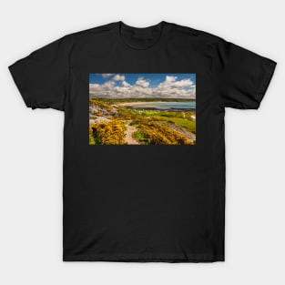 Port Eynon Bay, Gower T-Shirt